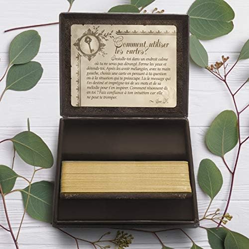 le-petit-oracle-de-la-creation-coffret-1