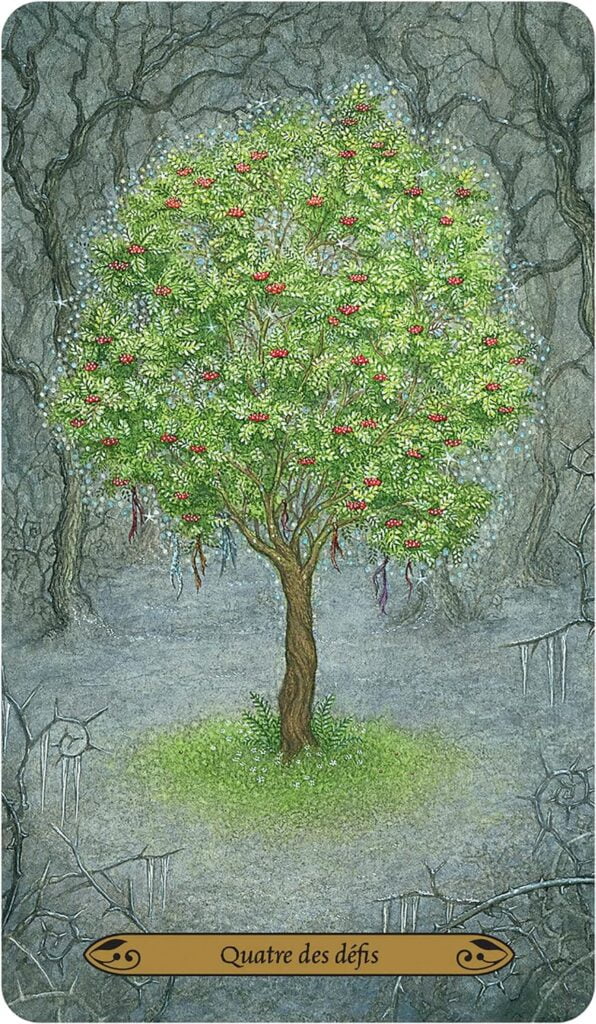 le-tarot-des-esprits-de-la-foret-enchantee-2