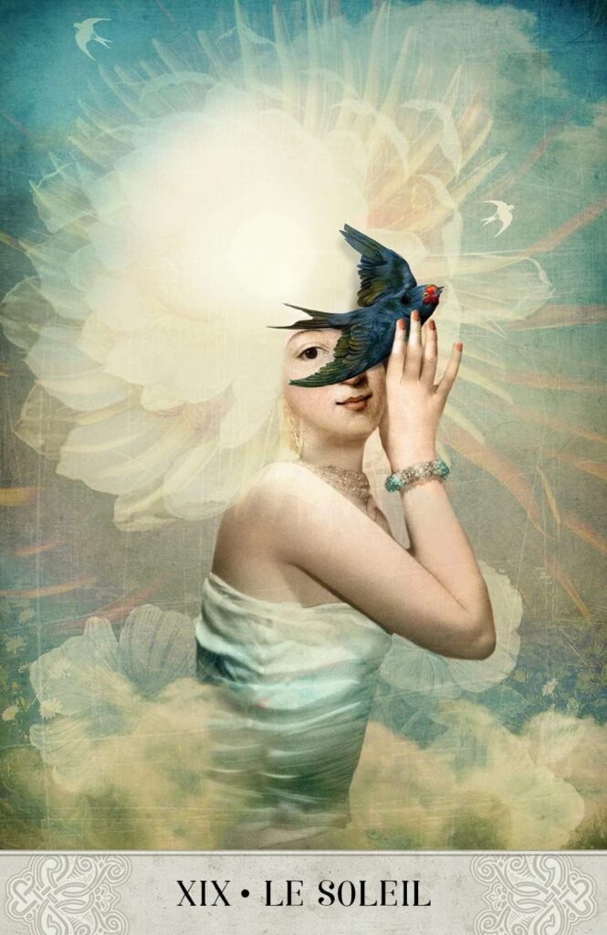 tarot-mystique-cartomancie-coffret-de-83-cartes-aux-tranches-argentees-boite-cloche-contient-un-livret-explicatif-editio-3